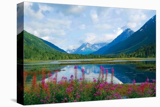 Alaska USA I-null-Stretched Canvas