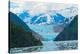 Alaska USA VII-null-Stretched Canvas