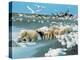 Alaskan Brown Bear Roars, McNeil River State Game Preserve, Alaska, USA-Howie Garber-Premier Image Canvas
