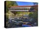 Albany Covered Bridge Over Swift River, White Mountain National Forest, New Hampshire, USA-Adam Jones-Premier Image Canvas