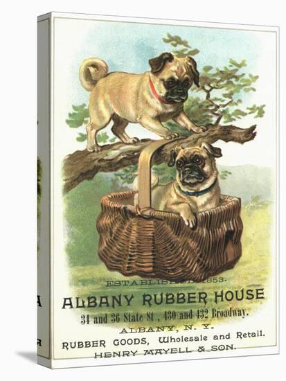 Albany Rubber House Advertisement-null-Premier Image Canvas