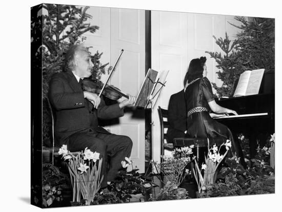 Albert Einstein Giving Violin Recital for American Friends Service Committee for Refugee Children-null-Stretched Canvas