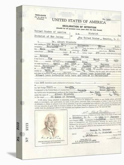 Albert Einstein's Petition for Naturalization-null-Stretched Canvas