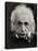 Albert Einstein-null-Premier Image Canvas