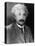 Albert Einstein-null-Stretched Canvas