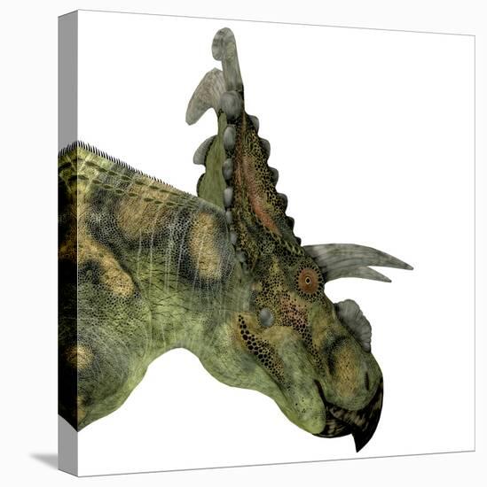 Albertaceratops Dinosaur Head-Stocktrek Images-Stretched Canvas