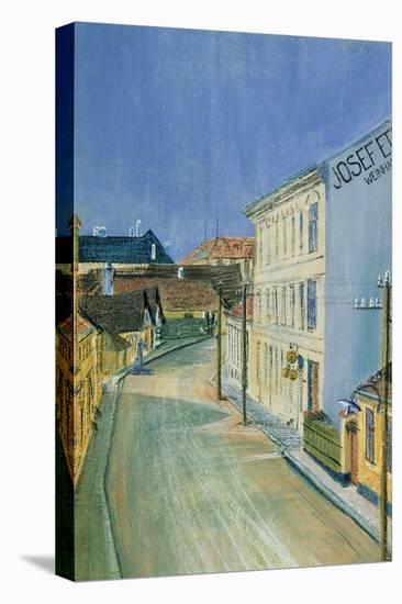 Albrechtstrasse in Klosterneuburg-Egon Schiele-Premier Image Canvas