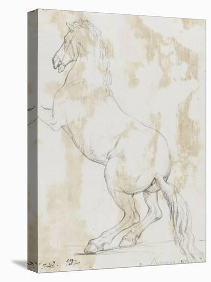 Album : cheval hennissant ; cheval cabré ; cheval allongé ; crâne de cheval-Jacques-Louis David-Premier Image Canvas