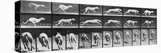 Album sur la décomposition du mouvement, Animal Locomotion: chien-Eadweard Muybridge-Premier Image Canvas