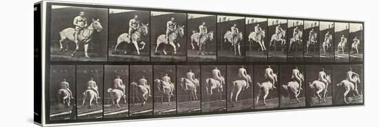 Album sur la décompostion du mouvement : "Animal locomotion  : saut d'ostacle, vu de face et de dos-Eadweard Muybridge-Premier Image Canvas