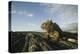 Alert Marine Iguana atop a Rock-DLILLC-Premier Image Canvas