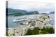 Alesund, Norway, Scandinavia, Europe-Amanda Hall-Premier Image Canvas