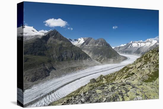 Aletsch Glacier, Eggishorn, Fiesch, Switzerland, Valais-Frank Fleischmann-Premier Image Canvas