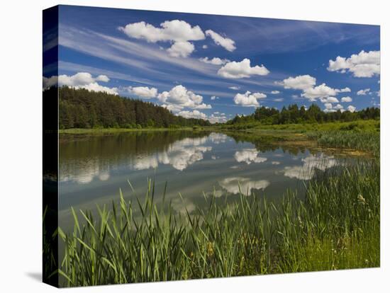 Alexander Pushkin Preserve, Pushkinskie Gory, Pskovskaya Oblast, Russia-Walter Bibikow-Premier Image Canvas