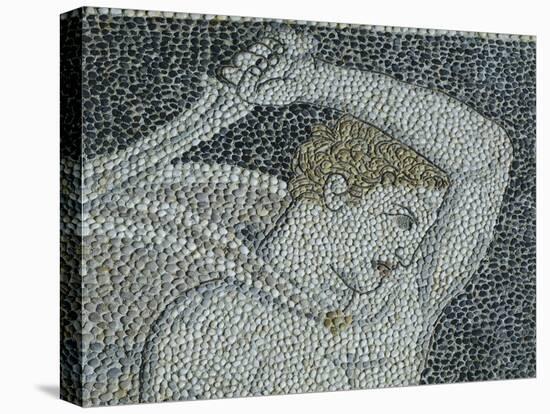 Alexander the Great and Hephaestion During Lion Hunt, Ca 320 Bc, Mosaic from Peristyle House 1-null-Premier Image Canvas