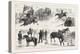 Alexandra Palace Horse Show, 1876, UK-null-Premier Image Canvas