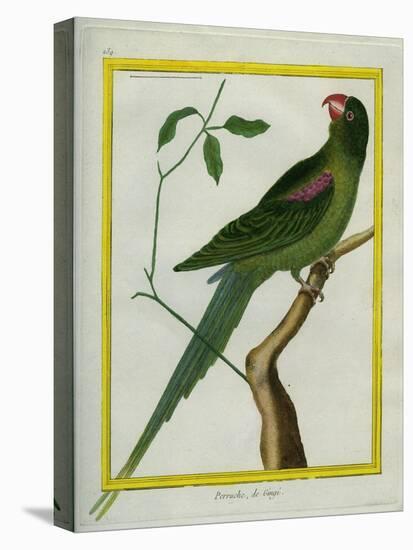 Alexandrine Parakeet-Georges-Louis Buffon-Premier Image Canvas