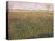 Alfalfa, St. Denis, 1885-Georges Seurat-Premier Image Canvas