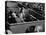 Alfred G. Vanderbilt and Alice G. Preston Sitting in a Grandstand Box at the Santa Anita Racetrack-Rex Hardy Jr.-Premier Image Canvas