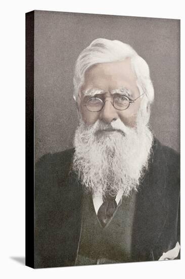 Alfred Russel Wallace, Welsh Naturalist-Science Source-Premier Image Canvas