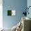 Algeria Flag Design with Wood Patterning - Flags of the World Series-Philippe Hugonnard-Stretched Canvas displayed on a wall