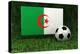 Algeria Soccer-badboo-Stretched Canvas