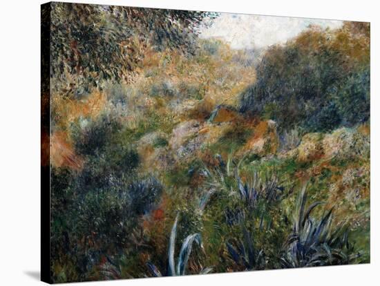 Algerian Landscape: the Ravine De La Femme Savage-Pierre-Auguste Renoir-Stretched Canvas
