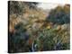 Algerian Landscape: the Ravine De La Femme Savage-Pierre-Auguste Renoir-Stretched Canvas