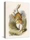 Alice and the White Rabbit-John Tenniel-Premier Image Canvas