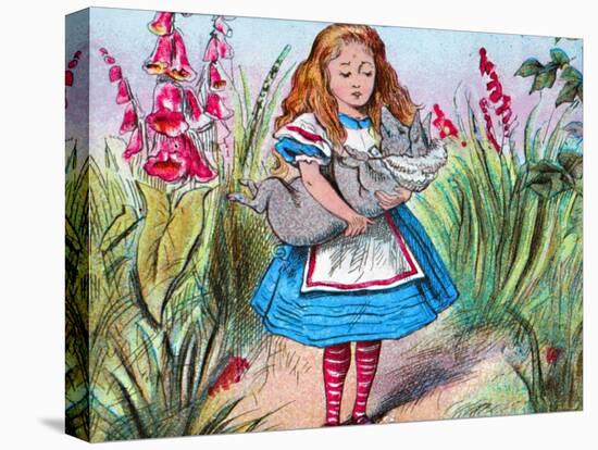 'Alice holding a pig in her arms.', c1910-John Tenniel-Premier Image Canvas