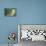 Alice in Wonderland-Philip Mendoza-Premier Image Canvas displayed on a wall