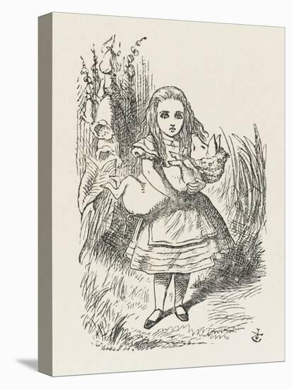 Alice with the Pig-Baby-John Tenniel-Stretched Canvas