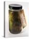 Alien In a Jar, Roswell, New Mexico, USA-Detlev Van Ravenswaay-Premier Image Canvas