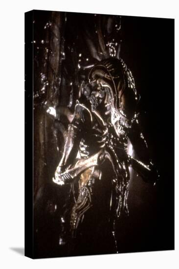 Alien, le huitieme passager (ALIEN), 1979 by RidleyScott (photo)-null-Stretched Canvas