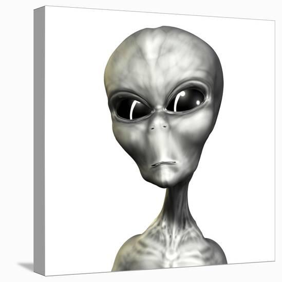 Alien-Friedrich Saurer-Premier Image Canvas