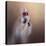 All Dolled Up Shih Tzu-Jai Johnson-Premier Image Canvas