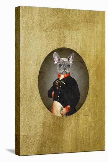 All Dressed up Frenchie-Amanda Greenwood-Stretched Canvas