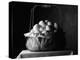 All Eggs in One Basket-Jim Craigmyle-Premier Image Canvas