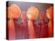 All Five Heads-Lincoln Seligman-Premier Image Canvas