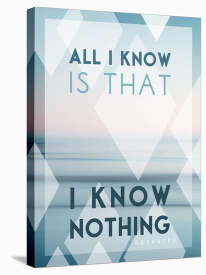 All I Know Is I Know Nothing-Lee Frost-Stretched Canvas