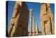 All Nations Gateway, Persepolis, UNESCO World Heritage Site, Iran, Middle East-James Strachan-Premier Image Canvas