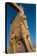 All Nations Gateway, Persepolis, UNESCO World Heritage Site, Iran, Middle East-James Strachan-Premier Image Canvas