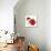 All Red Poppies I-Lanie Loreth-Stretched Canvas displayed on a wall