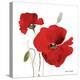 All Red Poppies I-Lanie Loreth-Stretched Canvas