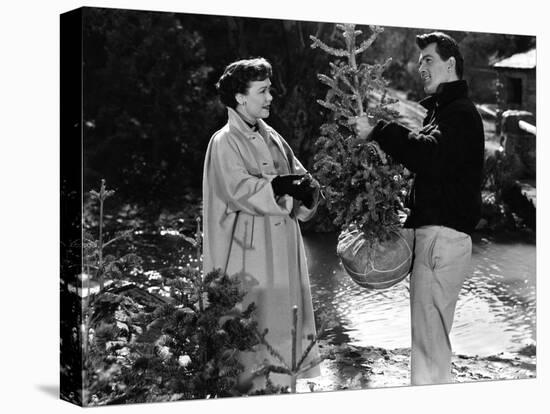 All That Heaven Allows, Jane Wyman, Rock Hudson, 1955-null-Stretched Canvas