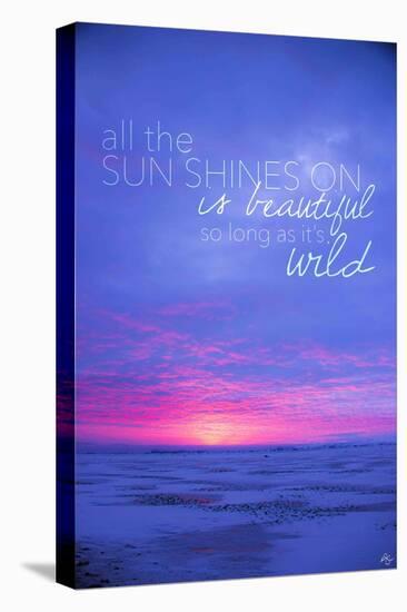 All the Sun Shines On-Kimberly Glover-Premier Image Canvas