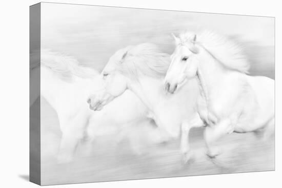 All the White Horses-PHBurchett-Premier Image Canvas