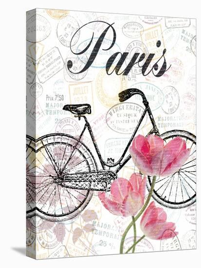 All Things Paris-Sheldon Lewis-Stretched Canvas