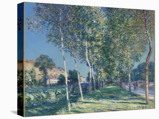 Allée de peupliers aux environs de Moret-sur-Loing-Alfred Sisley-Premier Image Canvas