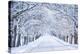 Alley in Snowy Morning-Anna Grigorjeva-Premier Image Canvas